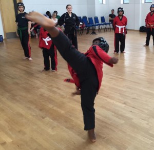 Family Martial arts, taekwondo crayford, karate crayford