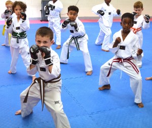 karate crayford, martial arts crayford, kids karate,